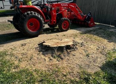 stump-grinding-chelmsford-ma